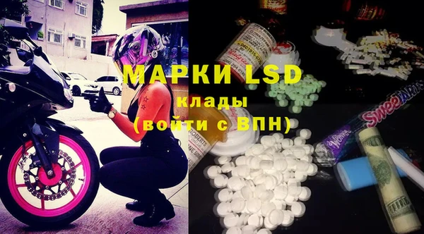 мяу мяу мука Кулебаки