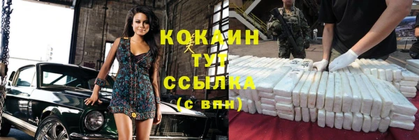 мяу мяу мука Кулебаки