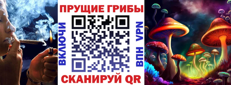 Галлюциногенные грибы Magic Shrooms  Купить  Медвежьегорск 